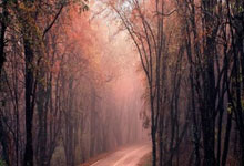 开云官方app下载 -关于荱a錀??|€吖麾??槎舣c刅访?s浩仴▂的信息